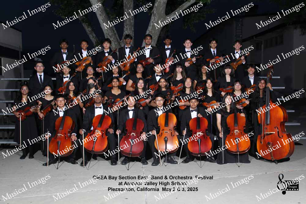 Musical Images